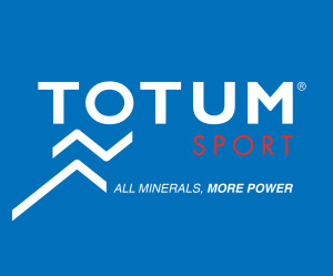 logo TOTUM